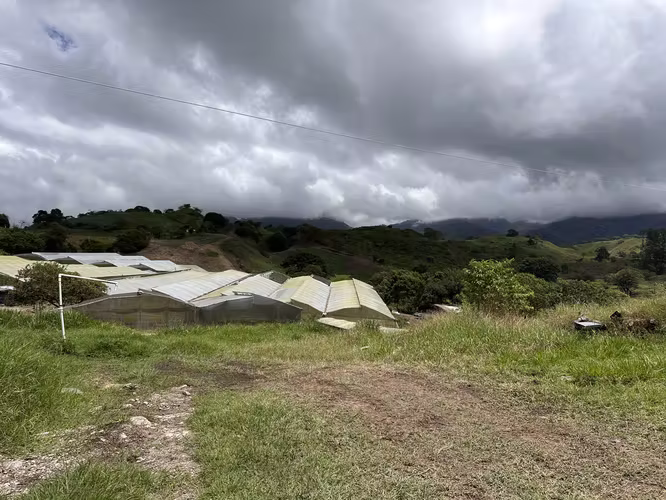 SE VENDEN 5 HECTÁREAS TITULADAS A POCOS MINUTOS DEL CENTRO DE VOLCÁN