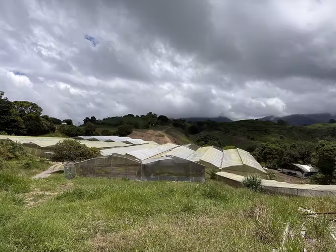 SE VENDEN 5 HECTÁREAS TITULADAS A POCOS MINUTOS DEL CENTRO DE VOLCÁN