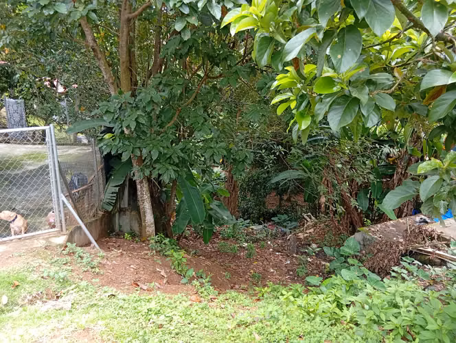Vendo 2 Casas en el Coco La Chorrera, Villa Verde, detrás del Super99 - Imagen 10