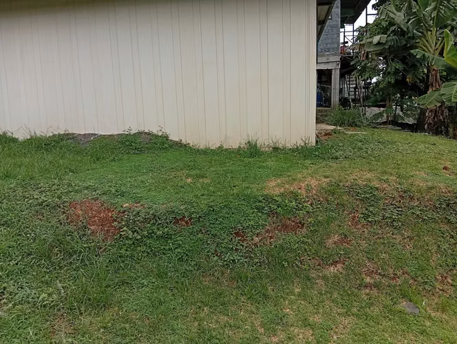 Vendo 2 Casas en el Coco La Chorrera, Villa Verde, detrás del Super99 - Imagen 7
