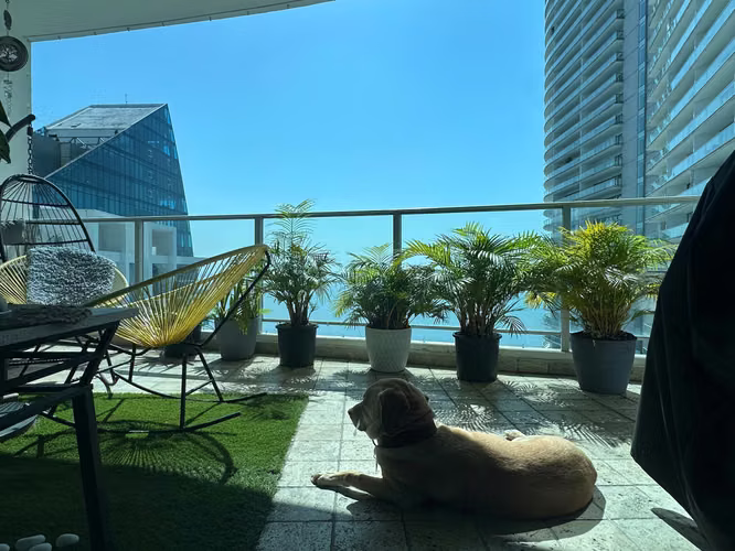 Venta de Oceanfront Completamente Remodelado en Punta Pacífica | 260 m² | $550,000 - Imagen 2