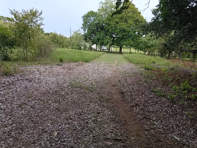 Vendo Terreno en Churubé abajo, de la provincia de Coclé - Imagen 7