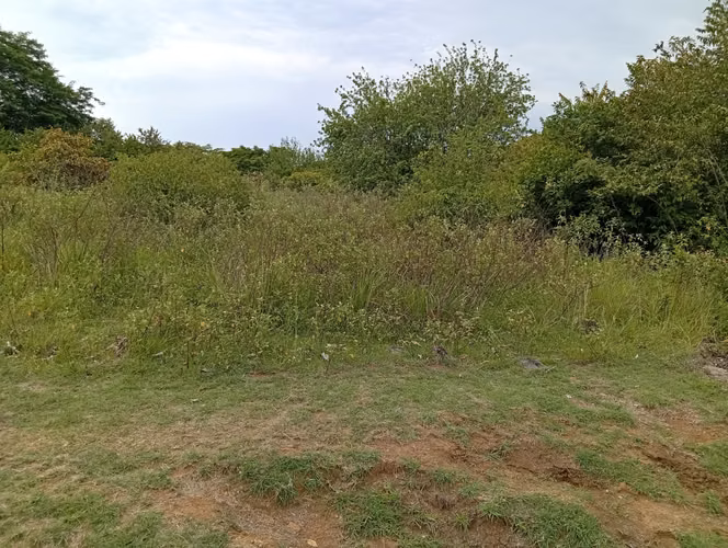 Vendo Terreno en Churubé abajo, de la provincia de Coclé - Imagen 8