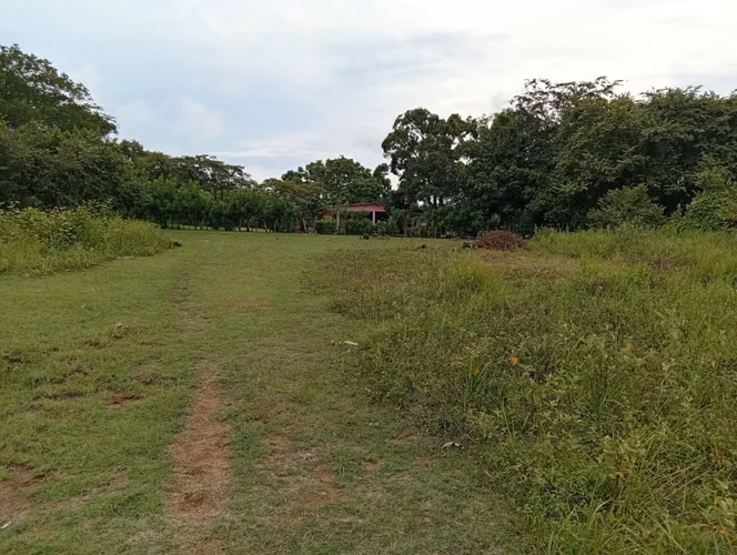 Vendo Terreno en Churubé abajo, de la provincia de Coclé - Imagen 12