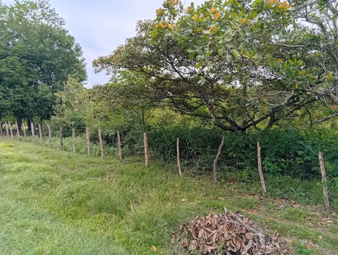 Vendo Terreno en Churubé abajo, de la provincia de Coclé - Imagen 10