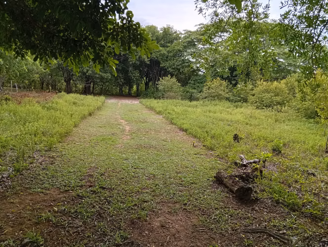 Vendo Terreno en Churubé abajo, de la provincia de Coclé - Imagen 6