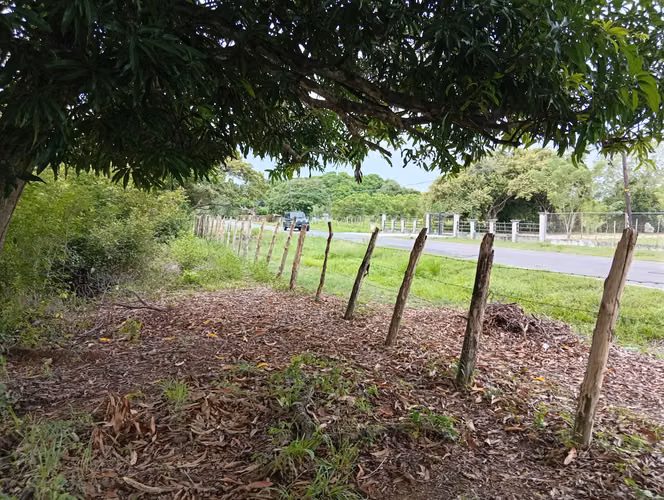 Vendo Terreno en Churubé abajo, de la provincia de Coclé - Imagen 5