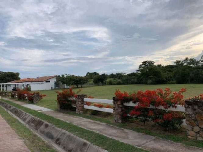 Venta Terreno San Carlos en Complejo Residencial Punta Barco Village - Imagen 3