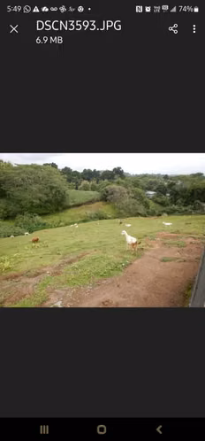Se vende Terreno en Las Cumbres - Imagen 5