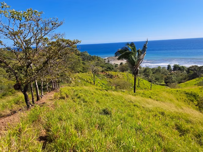 Se vende 420 hectáreas  frente la playa Pedasi 7 millones