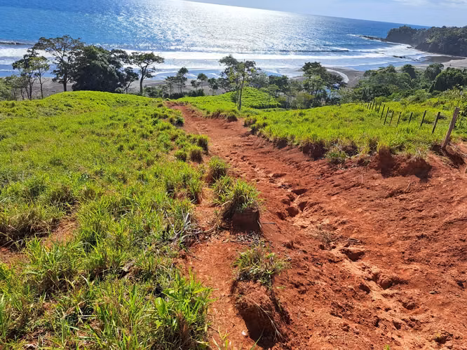 Se vende 420 hectáreas  frente la playa Pedasi 7 millones