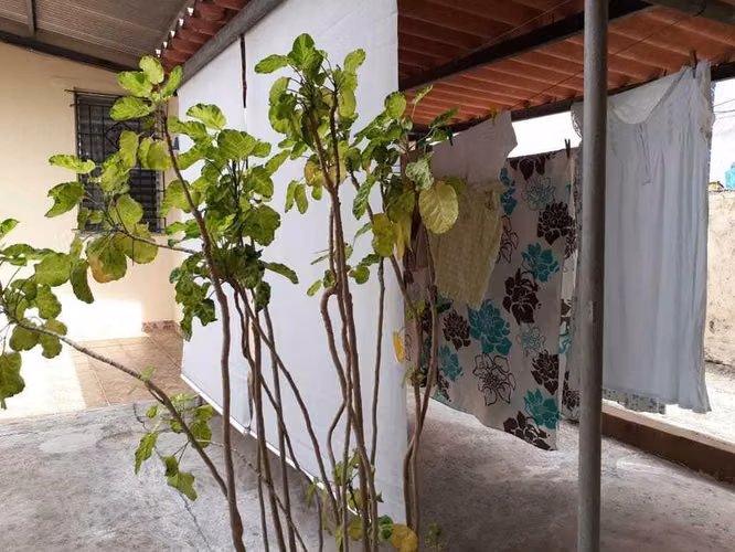 Casa en Venta en Betania JG - Imagen 12