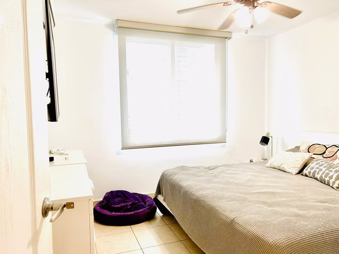 Alquilo Hermoso Apartamento en El Cangrejo, Ph Cangrejo 507.