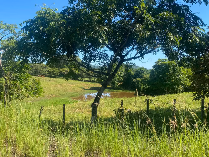 Finca en Venta – 1,119 Hectáreas Cerca de Soná, Veraguas, Panamá - Imagen 12