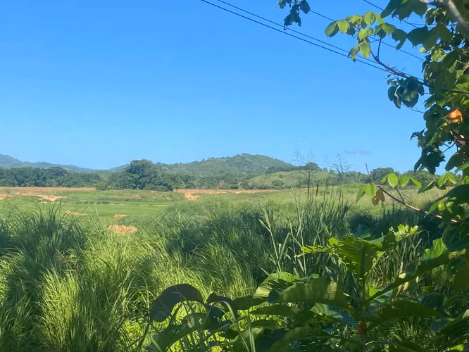 Finca en Venta – 1,119 Hectáreas Cerca de Soná, Veraguas, Panamá