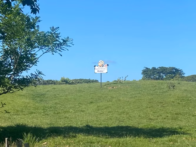 Finca en Venta – 1,119 Hectáreas Cerca de Soná, Veraguas, Panamá - Imagen 8