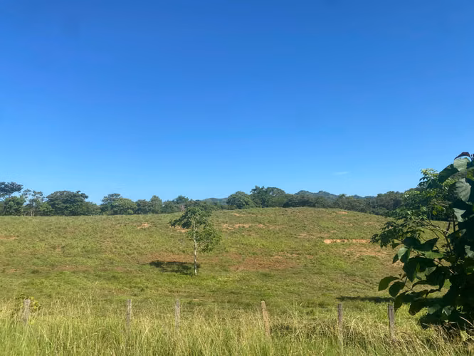 Finca en Venta – 1,119 Hectáreas Cerca de Soná, Veraguas, Panamá - Imagen 5