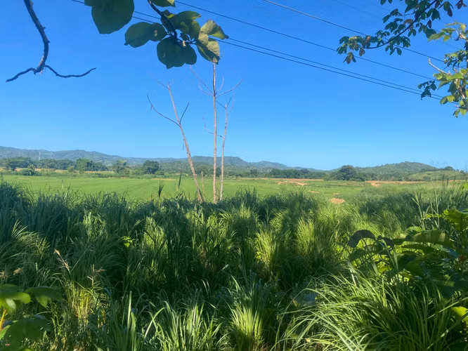 Finca en Venta – 1,119 Hectáreas Cerca de Soná, Veraguas, Panamá - Imagen 15