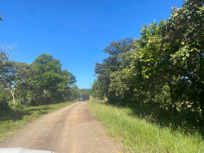 Finca en Venta – 1,119 Hectáreas Cerca de Soná, Veraguas, Panamá - Imagen 4