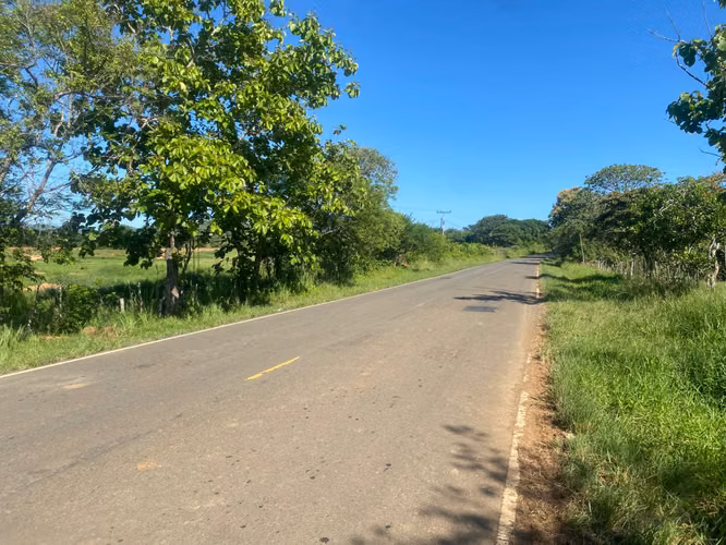 Finca en Venta – 1,119 Hectáreas Cerca de Soná, Veraguas, Panamá - Imagen 17