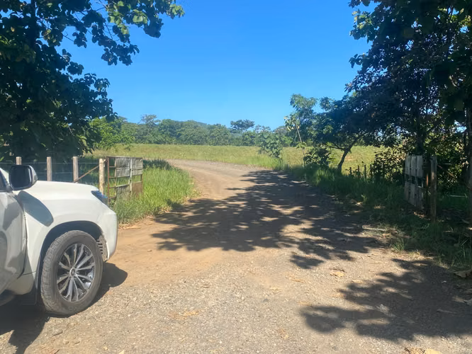 Finca en Venta – 1,119 Hectáreas Cerca de Soná, Veraguas, Panamá - Imagen 9