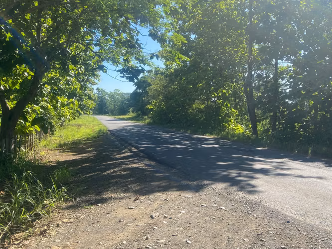 Finca en Venta – 1,119 Hectáreas Cerca de Soná, Veraguas, Panamá - Imagen 16