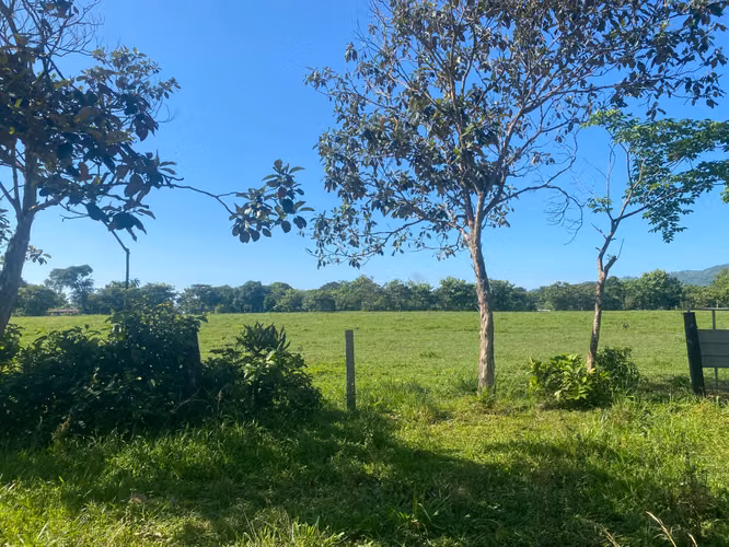 Finca en Venta – 1,119 Hectáreas Cerca de Soná, Veraguas, Panamá - Imagen 7