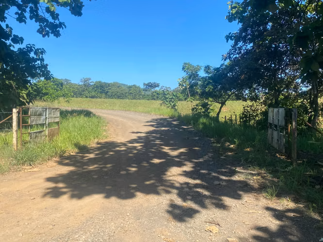 Finca en Venta – 1,119 Hectáreas Cerca de Soná, Veraguas, Panamá - Imagen 10