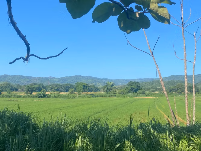 Finca en Venta – 1,119 Hectáreas Cerca de Soná, Veraguas, Panamá - Imagen 14