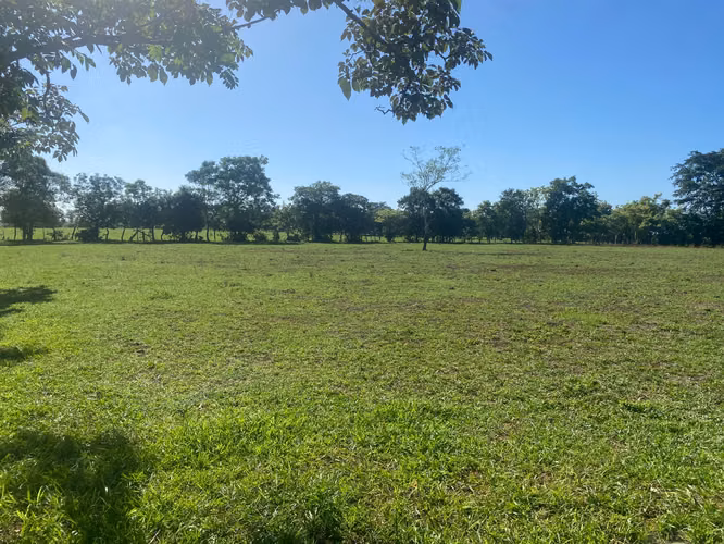 Finca en Venta – 1,119 Hectáreas Cerca de Soná, Veraguas, Panamá - Imagen 6