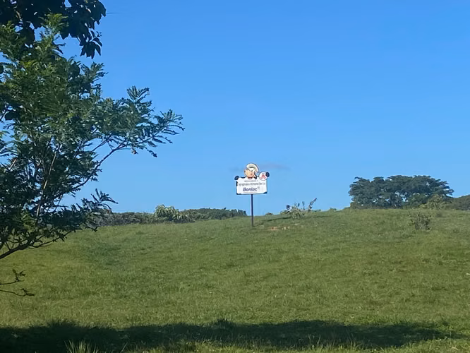 Finca en Venta – 1,119 Hectáreas Cerca de Soná, Veraguas, Panamá - Imagen 11