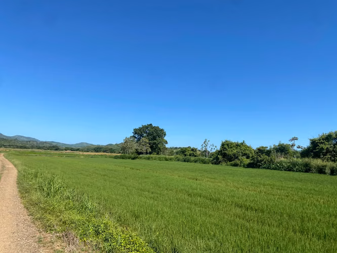Finca en Venta – 1,119 Hectáreas Cerca de Soná, Veraguas, Panamá - Imagen 3