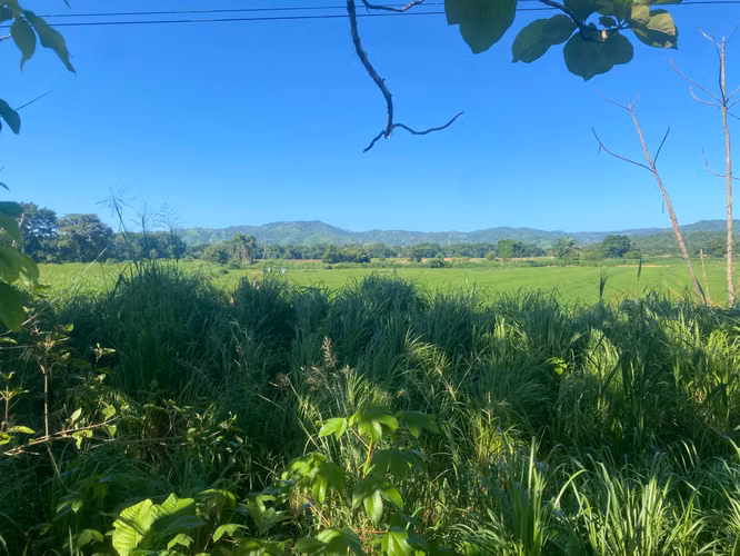 Finca en Venta – 1,119 Hectáreas Cerca de Soná, Veraguas, Panamá - Imagen 18