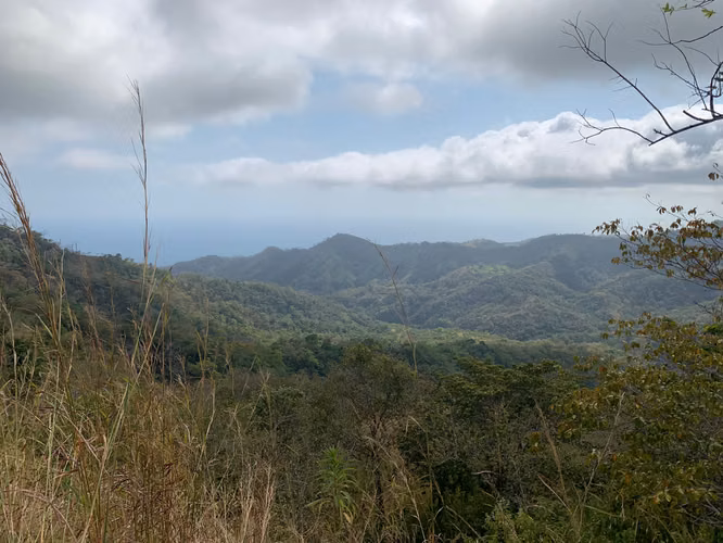 Finca en Venta – 282 Hectáreas Colindantes con el Parque Nacional Cerro Hoya, Veraguas, Panamá - Imagen 13