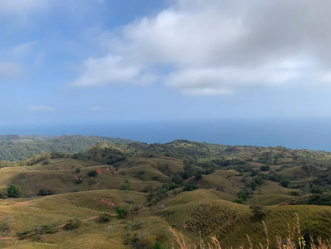 Finca en Venta – 282 Hectáreas Colindantes con el Parque Nacional Cerro Hoya, Veraguas, Panamá - Imagen 11