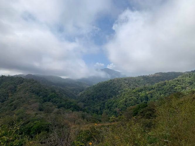 Finca en Venta – 282 Hectáreas Colindantes con el Parque Nacional Cerro Hoya, Veraguas, Panamá - Imagen 7