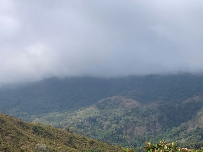 Finca en Venta – 282 Hectáreas Colindantes con el Parque Nacional Cerro Hoya, Veraguas, Panamá - Imagen 5