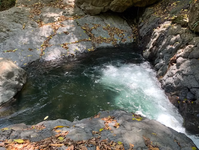 Finca en Venta – 282 Hectáreas Colindantes con el Parque Nacional Cerro Hoya, Veraguas, Panamá - Imagen 10