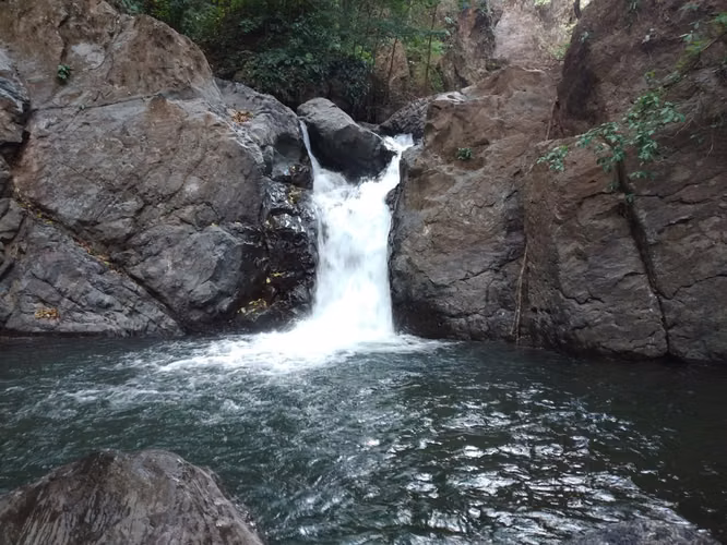Finca en Venta – 282 Hectáreas Colindantes con el Parque Nacional Cerro Hoya, Veraguas, Panamá - Imagen 12