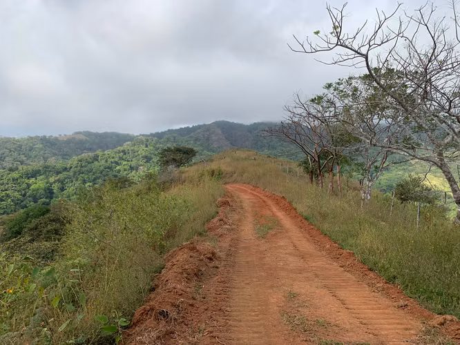 Finca en Venta – 282 Hectáreas Colindantes con el Parque Nacional Cerro Hoya, Veraguas, Panamá - Imagen 6