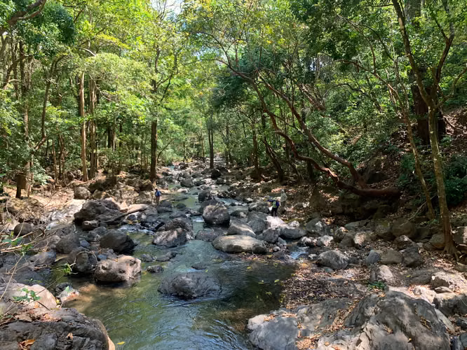 Finca en Venta – 282 Hectáreas Colindantes con el Parque Nacional Cerro Hoya, Veraguas, Panamá - Imagen 3