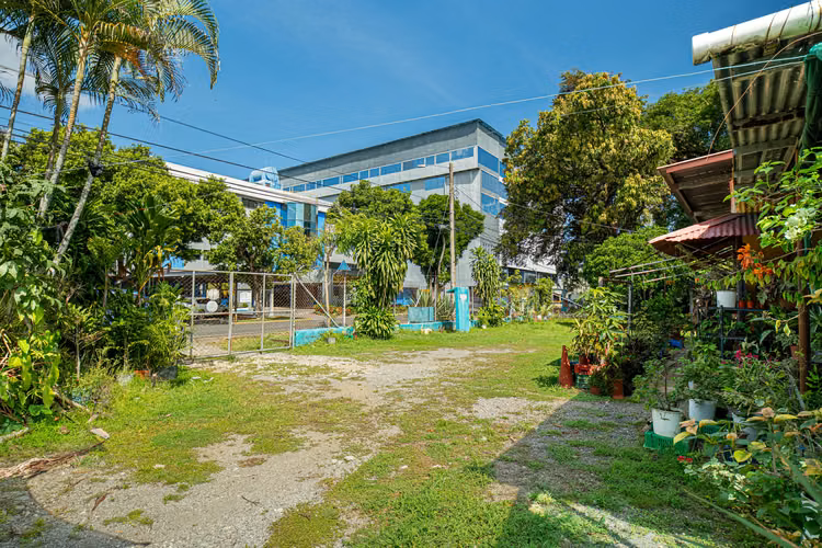 Terreno para desarrollo en David, Panamá - Imagen 9