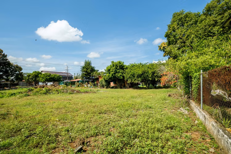 Terreno para desarrollo en David, Panamá - Imagen 11