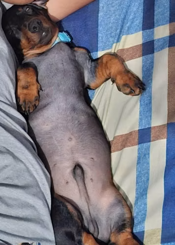 Se vende - Imagen 1