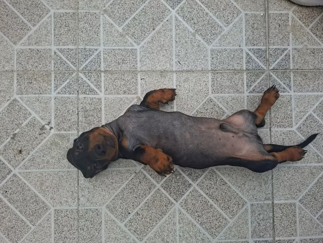 Se vende - Imagen 6