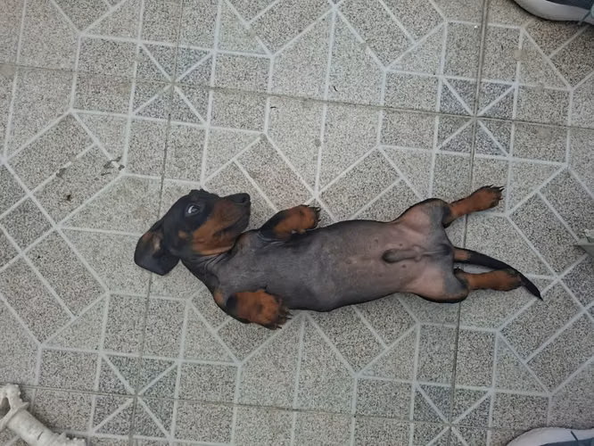 Se vende - Imagen 5
