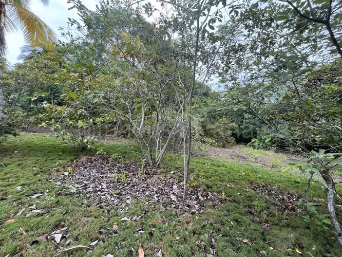 VENTA DE TERRENO EN COCLE DDB27-1339