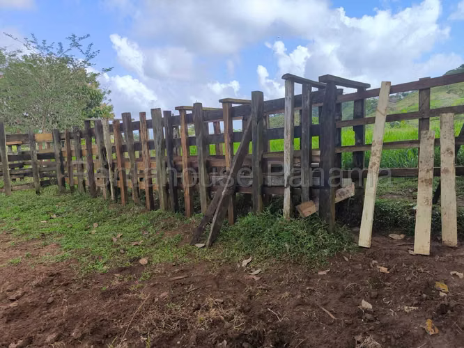 VENTA DE TERRENO EN LIDICE DDB26-5772