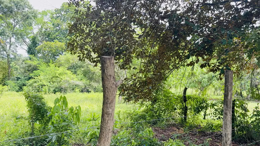 Se vende Lote de 1,200 m2 en Bejuco Chame - 35,000 balboas