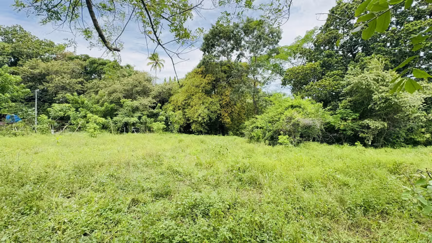 Se Vende terreno de 1,200 metros en bejuco, chame - 35,000 - Imagen 3